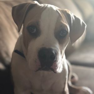 Meet your Posher, Ilona